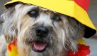 Von hinten, a tergo, doggy-style: Animalisch und auch ganz vorn auf der Beliebtheitsskala. Foto: dpa