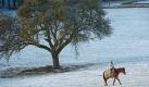 Selbst am Rhein, in der Nähe von Koblenz, herrscht derzeit tiefster Winter. Foto: dpa