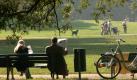 Im Englischen Garten von München lässt sich der Frühling mitten in der Stadt genießen. Der über vier Hektar große Park bietet zahlreiche Wander- und Spazierwege sowie Rastmöglichkeiten. Auf den Wiesen kämpfen zarte Krokusse und Schneeglöckchen um den besten Platz an der Sonne ... Foto: dpa/Frank Leonhardt