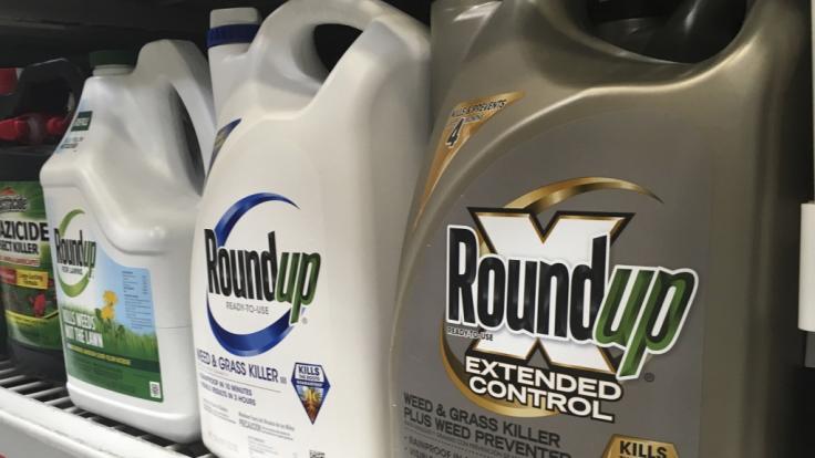 Das Unkrautvernichtungsmittel Roundup von Monsanto kommt Bayer teuer zu stehen.