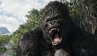 Der gigantische King Kong gibt einen furchteinflößenden Schrei von sich: Mit großem finanziellen und tricktechnischen Aufwand inzenierte Regisseur Peter Jackson im Jahr 2005 in der bisher letzten Neuauflage des Urvaters aller Monsterfilme, wie King Kong schließlich überwältigt und als Ausstellungsstück nach New York gebracht wird.  Foto: dpa