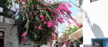 Mykonos (Foto)