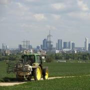 Streit in der EU um Ökonischen auf dem Acker (Foto)
