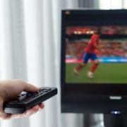 Web-TV-Monitor 2010 (Foto)