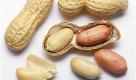 Der ideale Powersnack fr zwischendurch: Die Ballaststoffe der Erdnuss sttigen lang anhaltend, das Blut wird mit Magnesium, Vitamin E und Kupfer angereichert. Das in Erdnssen enthaltene Tryptophan beruhigt und sorgt fr einen ruhigen Schlaf. Vitamin K bringt die Zellerneuerung auf Hochtouren, und Linolsure schtzt die Haut vor Austrocknung. Tipp: Da gerstete Erdnsse meist viel Salz enthalten, Nsse am besten selber kurz rsten. Foto: news.de