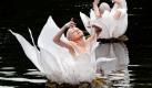 Das russische Tanztheater-Ensemble Derevo probt im Dresdner Zwingerteich das Stück Weiße Festung, das dort von Donnerstag bis Sonntag immer nach Einbruch der Dunkelheit zu sehen sein wird. Die Frauen verkörpern darin Wasserlilien, die im Teich tanzen. Bei dem 1988 gegründeten Tanztheater-Ensemble Derevo, russisch Der Baum, geht es etwas verrückter zur Sache als bei klassischen Aufführungen: Die Vorstellungen sind geprägt von Clownerie, Pantomime, Improvisation, Anarchie und Chaos. Foto: dpa