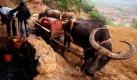 Dorfbewohner füllen ihre Wasservorräte an einem Fluss in der südchinesischen Provinz Yunnan auf. Aufgrund einer langanhaltenen Dürre ist vielen Menschen der Zugang zu Trinkwasser erschwert. Foto: ap