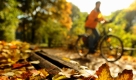 Eine Radfahrerin fährt in Berlin am Landwehrkanal an einer mit Herbstlaub bedeckten Bank vorbei. Foto: ddp