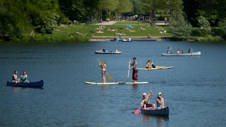 Stadtparksee in Hamburg: Mit den steigenden Temperaturen steigt die Gefahr durch Zerkarien in Badeseen.