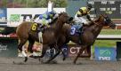 Schnell wie der Blitz saust David Flores auf dem dreijährigen Pferd Awesome Gem im kalifornischen Inglewood über die Rennbahn. Das Duo hängt Rafael Bejarano auf Rail Trip ab und gewinnt den Hollywood Gold Cup. Foto: ap