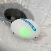 Der kleine Wassersparer (Foto)