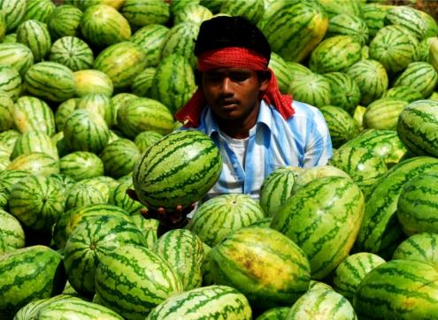 Indien (Foto)