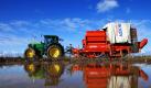 Ein Traktor zieht einen Kartoffelroder über das bundesweit einzige kommerzielle Genkartoffelfeld bei Zepkow in Mecklenburg-Vorpommern. Bei trockenem Wetter wird mit der Maschine der 14 Hektar große Acker abgeerntet. Foto: dpa