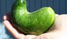 Zucchino (Foto)