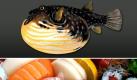 Der Kugelfisch enthlt eines der strksten bisher bekannten Nervengifte, das zu Atem- und Herzstillstand fhrt. In Japan ist Fugu eine Spezialitt, auch wenn auf der Insel noch immer fnf Menschen pro Jahr an einer Vergiftung sterben. Kche sollten speziell fr die Zubereitung ausgebildet sein. Foto: news.de/ Greenpeace (Montage)