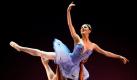 Principal dancers of the New York City-based American Ballet Theatre Paloma Herrera, of Argentina, and Jose Manuel Carreno, of Cuba, perform 'Le Corsaire' of choreographer Joseph Mazilier, at the Karl Marx Theatre in Havana, Cuba, Wednesday, Nov. 3, 2010. (AP Photo/Javier Galeano)


 Foto: ap