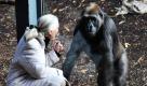 Die britische Verhaltensforscherin Jane Goodall interagiert im Zoo von Melbourne mit einem Gorilla. Goodall, die sich in der internationalen Organisation Great Ape Project engagiert, fordert bestimmte Grundrechte auch für Menschenaffen, wie das Recht auf Leben und den Schutz vor Ausbeutung. Foto: dpa
