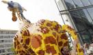 Nachdem Kinder die letzten Steine an den Schwanz der Lego-Giraffe setzten, wird er am Dienstag (12.08.2008) am Legoland Discovery Center am Potsdamer Platz in Berlin an dem 'Tier' angepasst. Irgendjemand hat den Schwanz der sieben Meter hohen Lego-Giraffe vor einigen Wochen gestohlen. Allein der Schwanz muss aus 30 000 Steinen zusammengesetzt werden.
 Foto: dpa