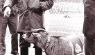 Hennes III. ging aus tragischen Grnden in die Geschichtsbcher des FC Kln ein. Eines Morgens lag er tot in seinem Stall, laut Betreuer soll ein Schferhund der Mrder gewesen sein, die Anhnger des FC vermuten bis heute gegnerische Fans. Heute steht das Tier ausgestopft im Eingangsbereich der Geschftsstelle. Amtszeit: 1970-1975.
 Foto: www.GeissbockFans.de