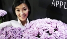 In Japan wurden die ersten blauen Rosen vorgestellt, die laut Suntory-Holding fast 100 Prozent blaue Pigmente in den Blütenblättern haben. Die Entwicklung der Rosen hat 20 Jahre gedauert und eine kostet 2000 bis 3000 Yen, ungefähr 15 bis 22 Euro. Foto: ap