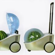Der Wassermelonenkühler (Foto)