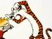Calvin and Hobbes (Foto)