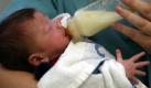 Muttermilch ist nicht nur für menschliche Babys wichtig. Auch Tierjunge sind auf diese angewiesen. Kälbern wird sie weggenommen. Sie bekommen stattdessen eine Ersatzmilch. Foto: ddp