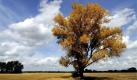 Der Herbst beginnt mit einem heranziehenden Tief Foto: dapd