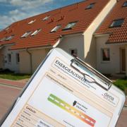 Grün ist die Farbe des Sparens (Foto)