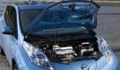 Die besten Bilder zu Nissan Leaf im Alltag: Ausflug in die Baumschule Foto: pi