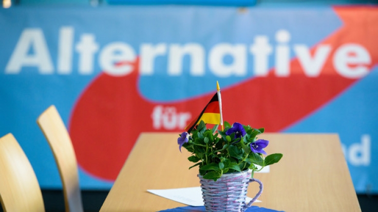 In der AfD kommt es nicht erst seit Beatrix von Storch zu Verbalausfällen.