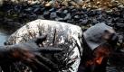 Zu wenig Einsatz gegen die Katastrophe: Ein Hilfsarbeiter trägt einen Sack an den Strand, der von Rohöl verschmutzt wurde, nachdem eine Pipeline in Dalian im nordöstlichen China explodiert war. Chinas bisher größter Ölteppich verdoppelte gestern seine Größe und trotzte den Versuchen der Helfer, das Meer mit Strohmatten und Gummihandschuhen zu reinigen. Foto: ap