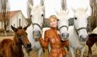 In Österreich, genauer gesagt in der Steiermark, entstand die neue ARD-Serie Das Glück dieser Erde. Darin spielt Eva Herzig die erfolgreiche Unternehmensberaterin Dr. Katharina Lenz, die quasi über Nacht zur Leiterin des Gestüts Piber wird. Dort werden die Lipizzaner für die Wiener Hofreitschule gezüchtet. Foto: ARD/ORF/Ali Schafler