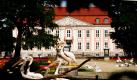 Pelikane stehen im Tierpark in Berlin vor dem Schloss Friedrichsfelde. Das sanierte Schloss ist ab dem 28. August wieder für Besucher geöffnet. Im Festsaal des Schlosses ist für Montagabend ein historischer Ball geplant. Auch Konzerte, Führungen und ein historischer Markt stehen auf dem Programm. Foto: dpa