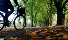 Auch wenn die Temperaturen sinken und es regnet, ist das kein Grund, auf das Radfahren zu verzichten. Vor allem, wenn der Herbst wie hier in einer Hamburger Allee sich von seiner schönsten Seite zeigt. Foto: dpa