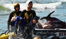 Es war sprichwörtlich Rettung in letzter Minute. Rettungsschwimmer holen den 12-jährigen Dale Ostrander aus dem Wasser. Nach einem Surfunfall im amerikanischen Long Beach war der Junge bis zu 20 Minuten unter Wasser. Er wurde in ein Krankenhaus gebracht und ist wieder bei Bewusstsein.  Foto: dapd