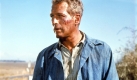 Auf sein strahlendes Aussehen und seine blauen Augen konnte er sich immer verlassen: US-Schauspieler Paul Newman starb im September, dank seiner Lebensmittelmarke Newman's Own verdient er weiter. Foto: dpa