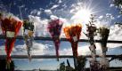 Blumen sind zum Gedenken der Opfer des Amoklaufes in Boonwood, England, an einem Zaun angebracht. Bei einem Amoklauf hat ein Mann 12 Menschen erschossen und viele verletzt, bevor er sich selbst richtete. Foto: ap
