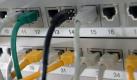 Netzwerkkabel in einem Verteiler für Internetverbindungen. Foto: Jens Büttner/Illustration Foto: dpa