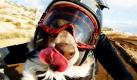 Mike Schelin fährt mit seinem Hund Opee auf seinem Motorrad durch Kalifornien.
 Foto: ap