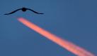 Eine Krähe fliegt am Montagmorgen (04.10.2010) am blauen Himmel über dem Rhein-Main-Gebiet. Darüber zeichnet sich der Kondensstreifen eines Flugzeugs ab, der von der aufgehenden Sonne rötlich angestrahlt wird. Die Aufnahme entstand in Frankfurt am Main mit Blick in Richtung Südosten. Foto: Frank Rumpenhorst dpa/lhe +++(c) dpa - Bildfunk+++ Foto: dpa