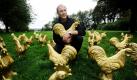 Künstler Ottmar Hörl inmitten seiner goldenen Hähne in Haan (Nordrhein-Westfalen). Die Installation mit dem Titel «Homestory» ist ab dem 1. September auf dem Karl-August-Jung-Platz zu sehen. Als Vorlage für die 1.000 Skulpturen diente dem Künstler der auf dem Stadtwappen abgebildete Hahn. Foto: dapd