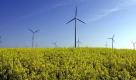 Die meisten deutschen Windkraftwerke stehen immer noch an Land. Sie sind einfacher aufzustellen, zu warten und auch der Strom lässt sich besser transportieren als von Hochsee-Kraftwerken. Die Windstromproduktion ist in Norddeutschland am höchsten, ganz einfach, weil aufgrund der geologischen Vorraussetzungen hier am meisten Wind weht. Foto: dapd