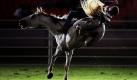 Auf dem Rücken der Pferde liegt das Glück der Erde: Tom Durbridge dürfte so ähnlicher Meinung sein, denn wer es am längsten auf dem Rücken des Pferdes aushält, gewinnt - zumindest bei diesem Rodeo-Wettbewerb im australischen Sydney. Foto: dpa