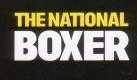 Musik gewordenes Erdungskabel: Das Album Boxer von The National. Foto: Indigo