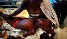 Das Erdbeben auf der Insel Haiti 2010 erschütterte die ganze Welt. Die Folgen waren Hunger und Krankheiten. Emilio Morenatti  war als Fotograf hautnah dabei und dokumentierte die Opfer der Cholera in dem Land. Für seine Bilder (dieses Foto stammt von November 2010) gewann er jetzt den Foto-Preis der südkoreanischen Nachrichtenagentur Yonhap. Der Preis soll die elementaren Ziele der Vereinten Nationen wie den Kampf gegen Hunger, Armut und Krankheiten unterstützen. Foto: dapd