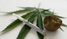 Platz 11: Aus den Blüten und dem Harz der Hanfpflanze gewonnen, sollte die Gefährlichkeit von Cannabis nicht unterschätzt werden. In geringen Dosen wirkt es euphorisierend, entspannend und schmerzstillend, in hohen Dosen führt es allerdings zu Wahnvorstellungen und Gedächtnisverlust, erhöht das Lungenkrebsrisiko und kann psychische Folgen haben. Foto: dapd
