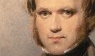 Fast fünf Jahre reiste der junge Charles Robert Darwin mit der HMS Beagle um die Welt. Foto: Goldmann