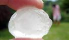 Ein walnusgroßes Hagelkorn wir am Sonntag (22.06.2008) hochgehalten. Hagelkörner und Sturm haben einen Sonnenschirm in Düsseldorf zerstört. Gewitter mit Unwetter haben am Sonntag vor allem zwischen Ruhrgebiet und Münsterland für überschwemmte Keller und umgestürzte Bäume gesorgt. Polizei und Feuerwehr rückten zu mehreren hundert Einsätzen aus. Menschen seien nach ersten Erkenntnissen aber nicht verletzt worden, teilten die Polizeidienststellen in der Nacht zum Montag auf Anfrage mit. Foto: Martin Gerten dpa/lnw +++(c) dpa - Bildfunk+++
 Foto: dpa