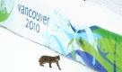 Ein Luchs geht über die Rennstrecke des olympischen Geländes am Whistler Creekside. Morgen beginnen mit einer Eröffnungszeremonie im BC Place Stadium in Vancouver die 21. Olympischen Winterspiele. Deutschland ist mit mehr als 150 Athleten und Athletinnen vertreten.  Foto: ddp